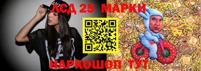 гидропоника Кулебаки
